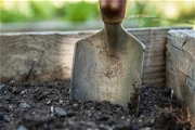 Zahradní kalendář: v dubnu sázejte zeleninu a pečujte o trávník