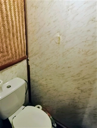 Renovace WC v panelovém bytě