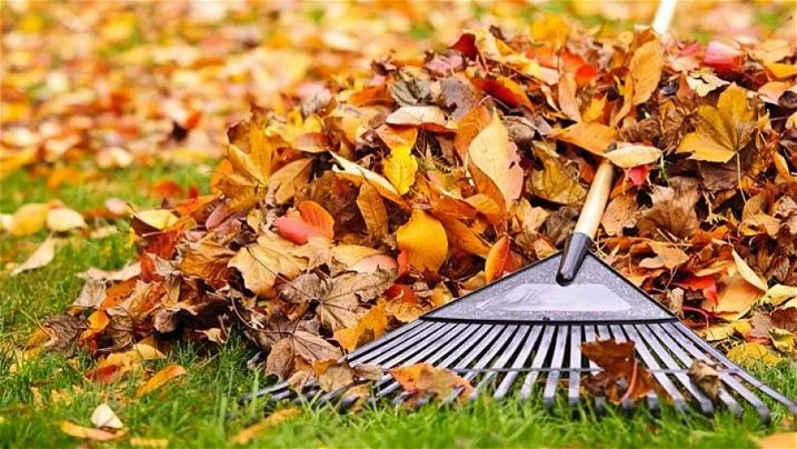 Padající listí - nejlepší kompost
