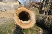 Ohlášení stavby a kácení stromů