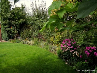 SERIÁL: Zahradní architekt radí - na co myslet při plánování zahrady