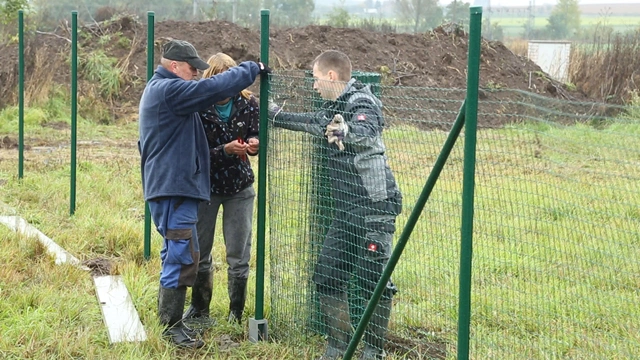 Oplocení pozemku – Osazení podhrabových desek, napnutí pletiva, instalace branky a součet celkových nákladů