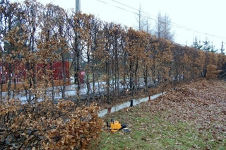 Příprava pozemku a zbudování nájezdu