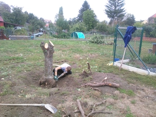 Rozhodnutí stavět a přípravy