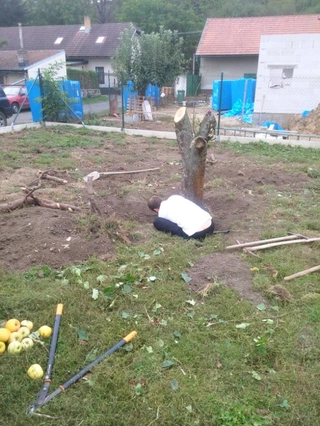 Rozhodnutí stavět a přípravy