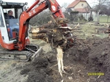 Vyváženi stavební sutě z demolice a kopáni pařezů