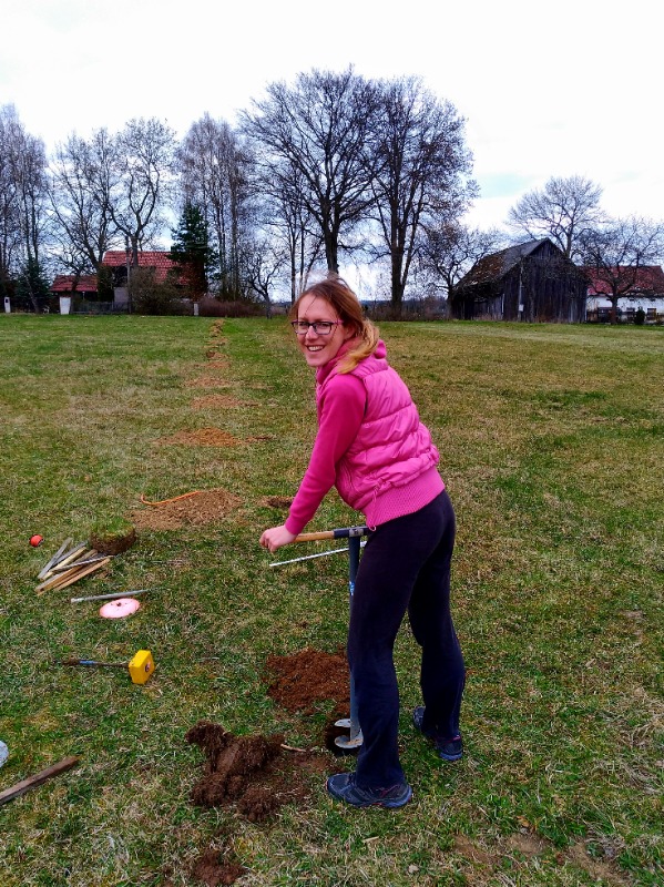 Kácení stromů a oplocení pozemku