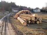 Kácení stromů na vazbu a strop