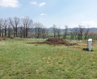 Rozhodnutí stavět, výběr pozemku a projekt