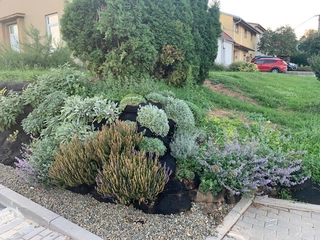 Dodejte své zahradě více zeleně pomocí vegetačních prvků