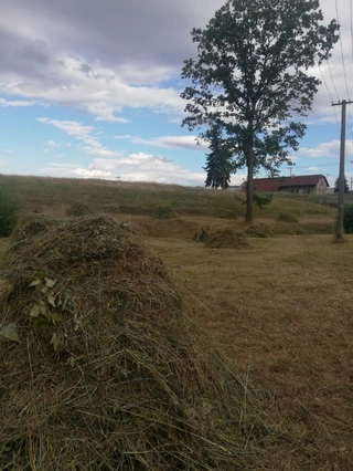 Byrokratické nutnosti a první práce na pozemku