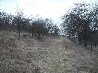 Začátek a příprava pozemku na stavbu