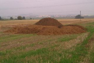 Rozhodnutí stavět a výběr pozemku