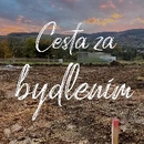 Cesta za bydlením